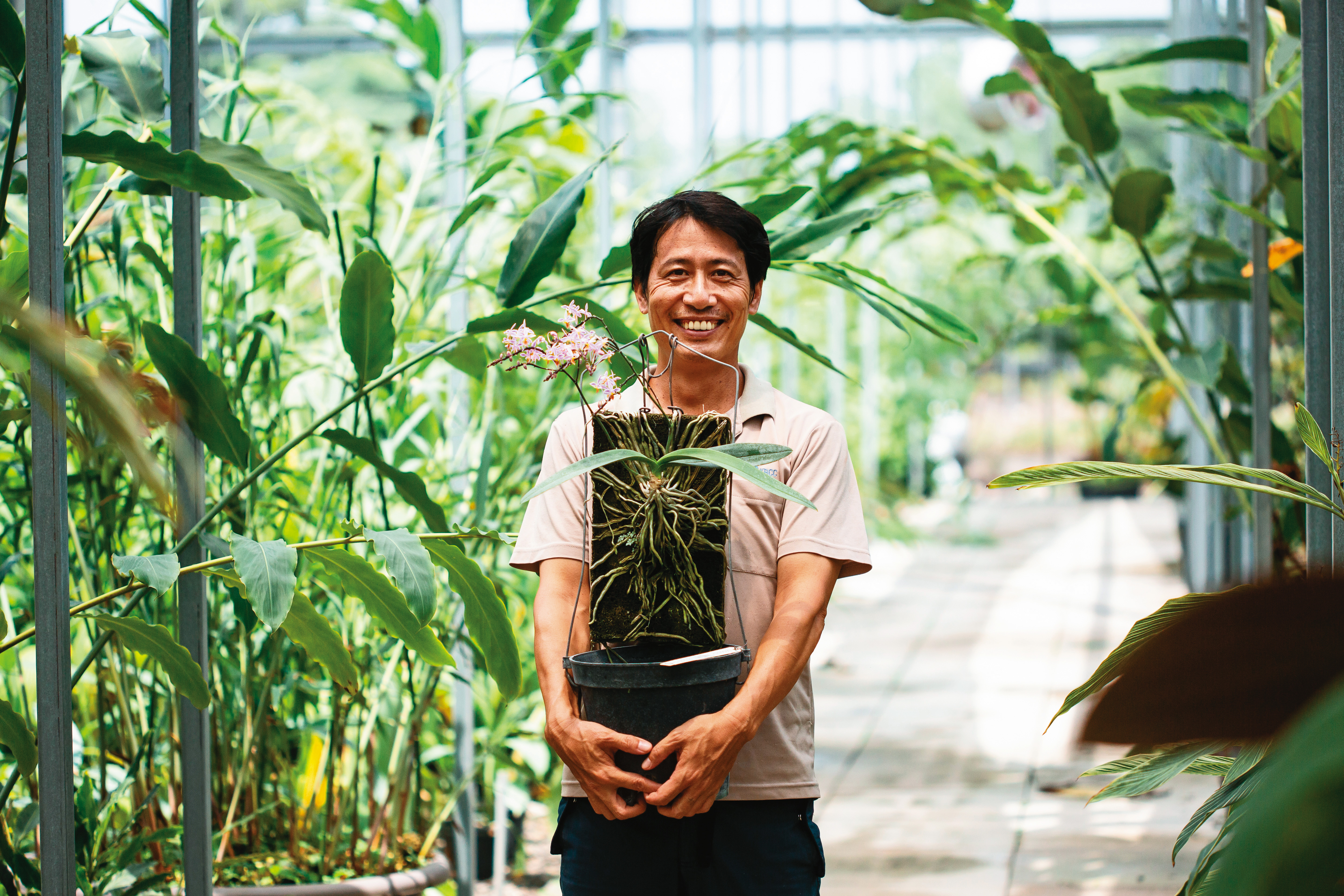 洪信介從年輕時便愛採蘭、種蘭，野生蘭花雖賣價不高，但種類繁多，花型各異，大大滿足他的蒐集癖。