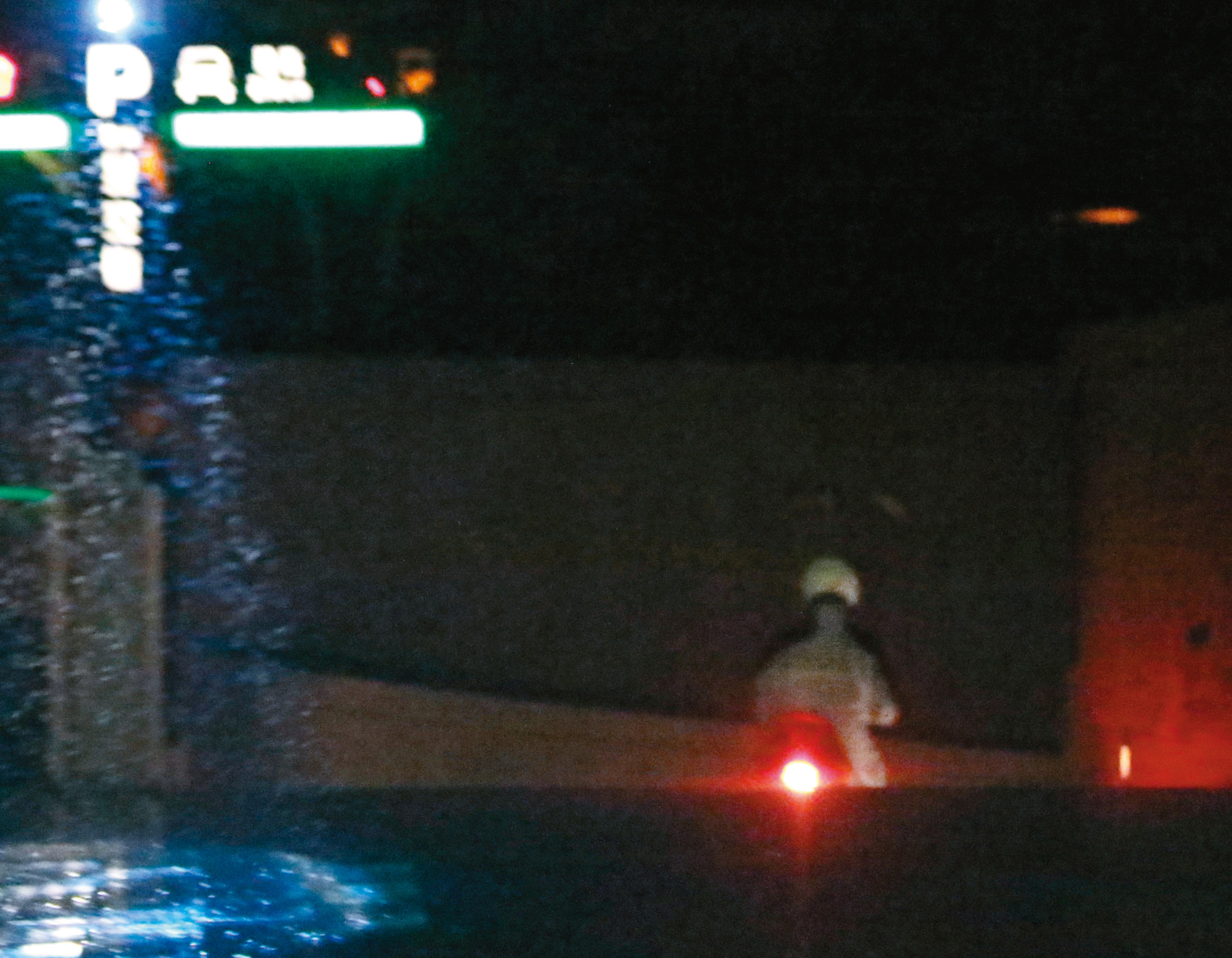 許仁杰大方滑進謝京穎家，根據同個社區居民表示，停車場並無通往其他大樓住所。