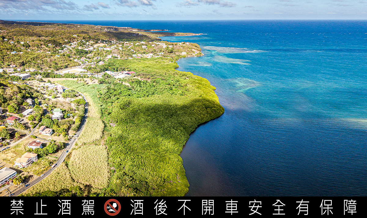 威斯特霍單一莊園。 （大隆嘉禾提供）