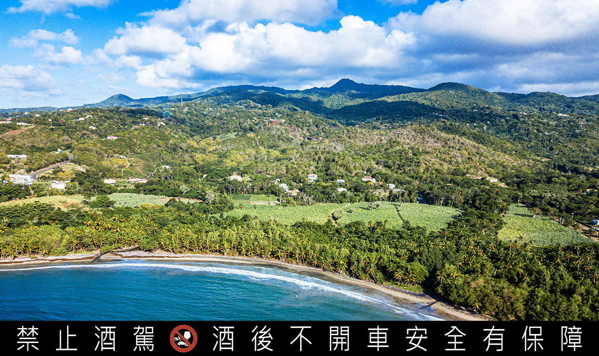 希望單一莊園。 （大隆嘉禾提供）