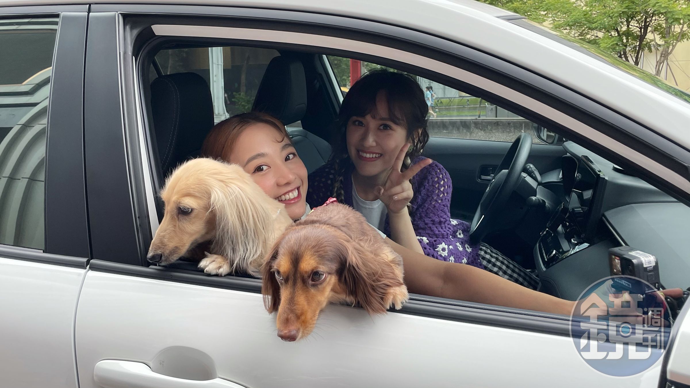 Sandy（右）錄影開車載鬼鬼與愛犬出遊。（TVBS提供）