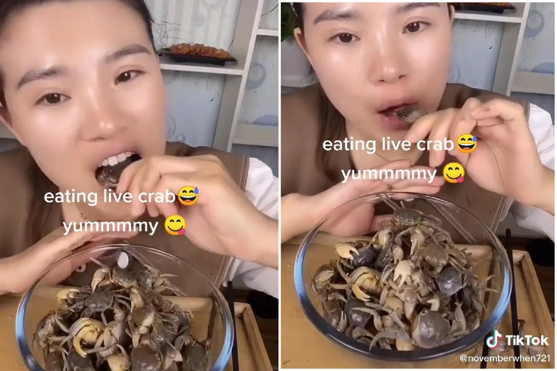 噁爆慎入!女子生吃整碗活螃蟹,螯足狂動不怕被「咬舌」。(翻自TikTok)