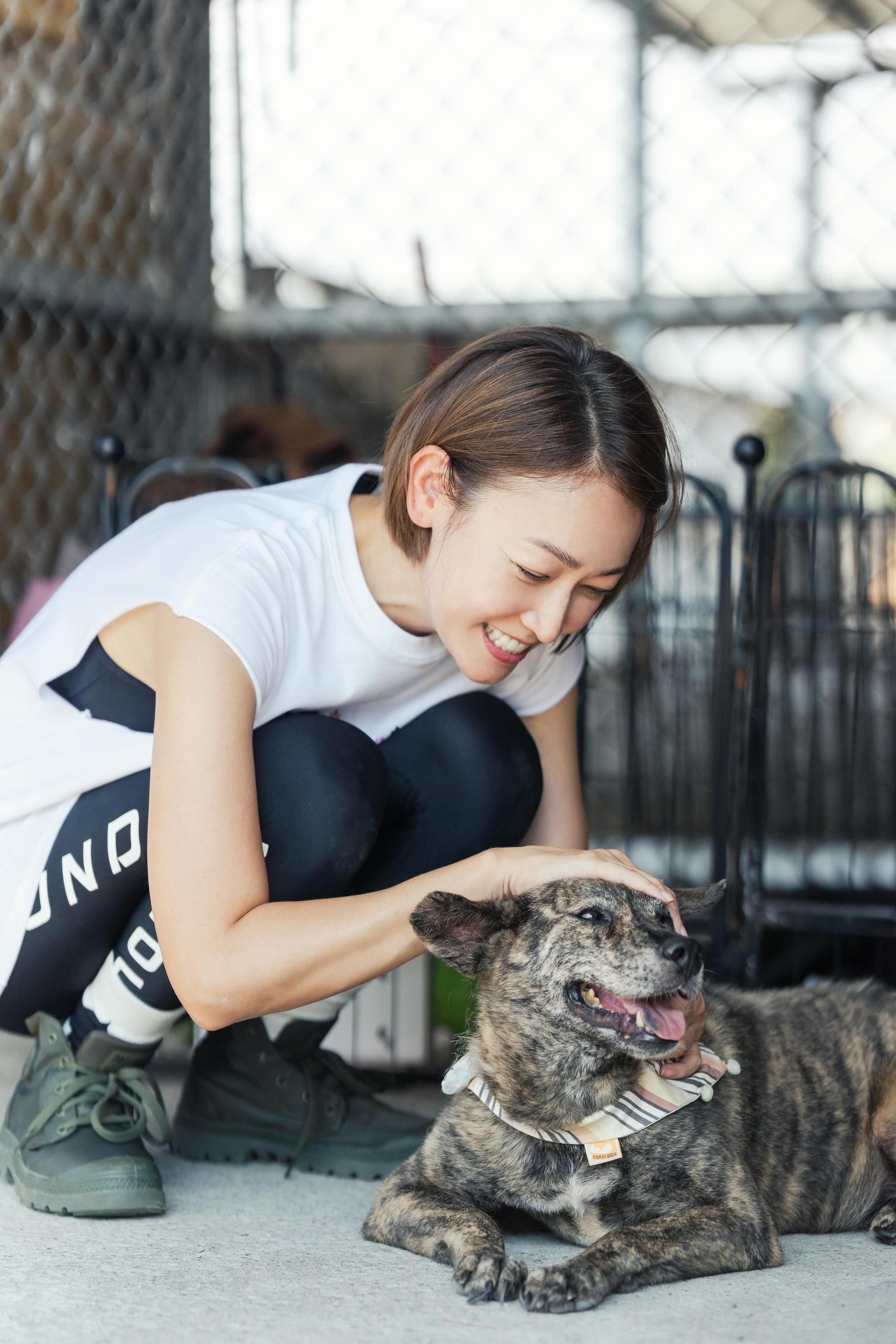 潘慧如對流浪動物常常身體力行關懷付出。(CHECK2CHECK提供)