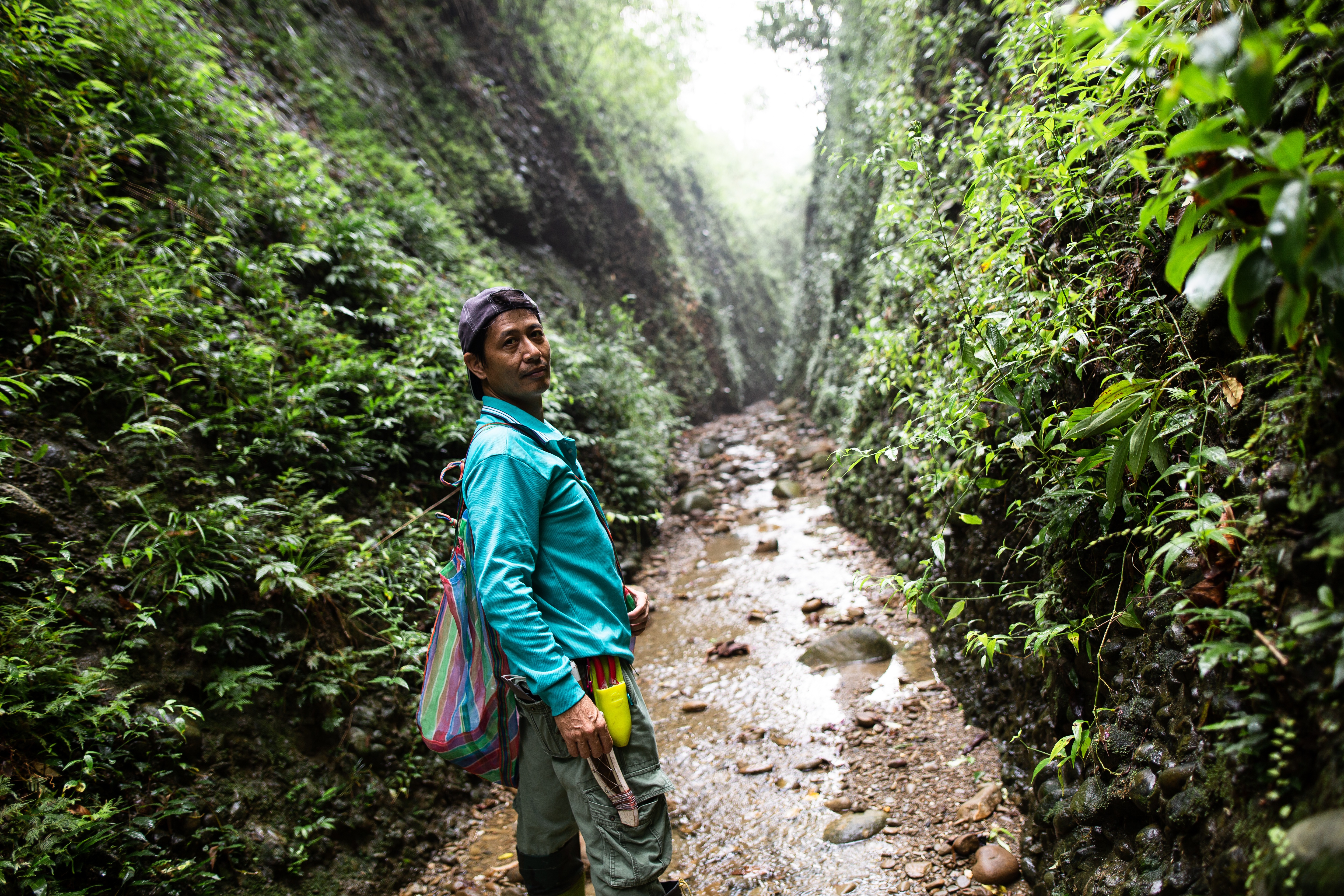 洪信介愛植物成癡，辦公室裡每本書、每張圖，幾乎都和植物有關。