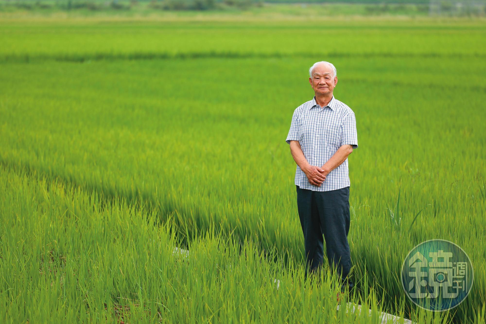 吳晟定居彰化溪州，家門口走出去就是稻田，地方上見到他的人，都尊稱他一聲老師，或尊稱他一聲教授。