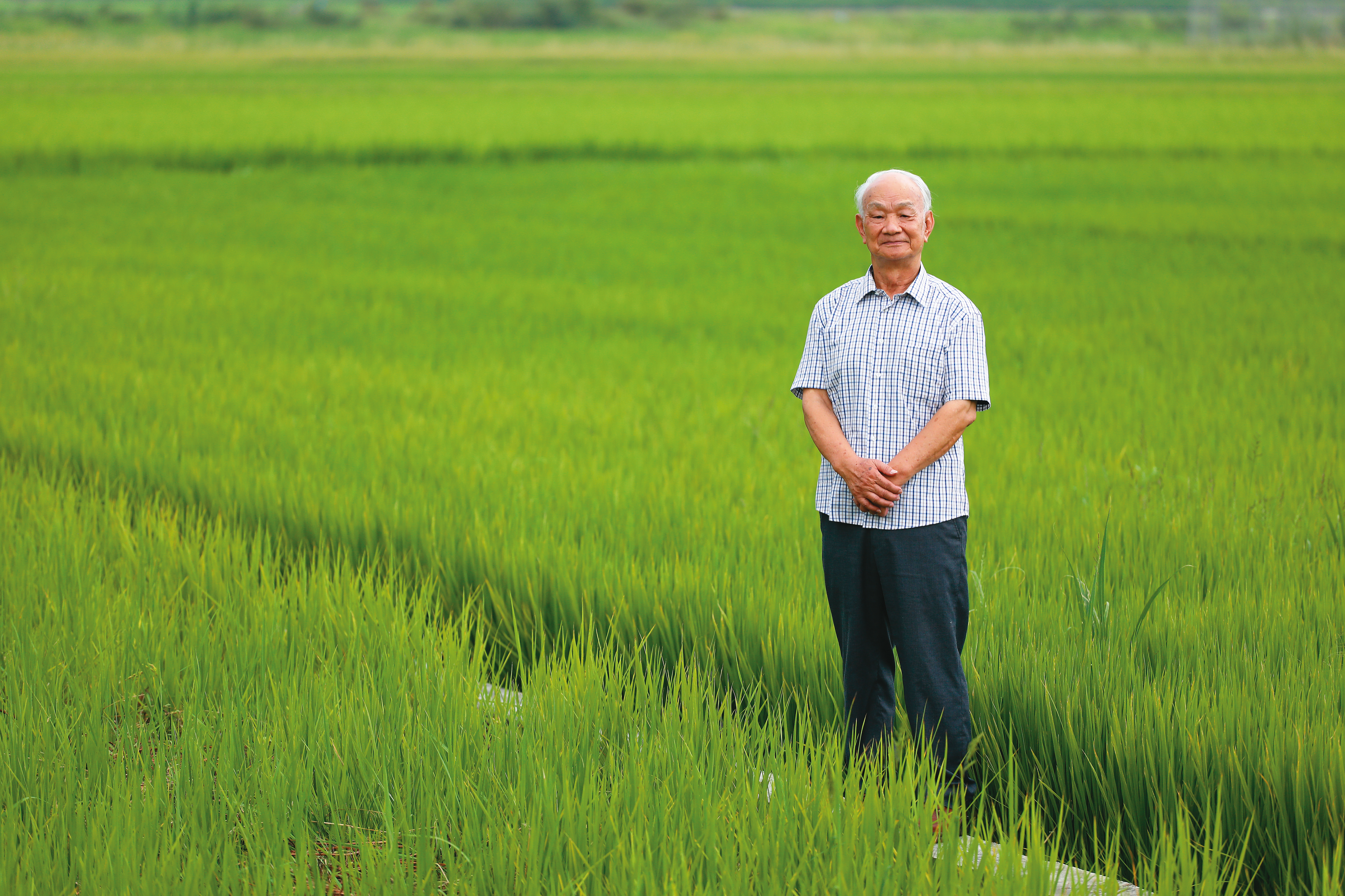 吳晟定居彰化溪州，家門口走出去就是稻田，地方上見到他的人，都尊稱他一聲老師，或尊稱他一聲教授。