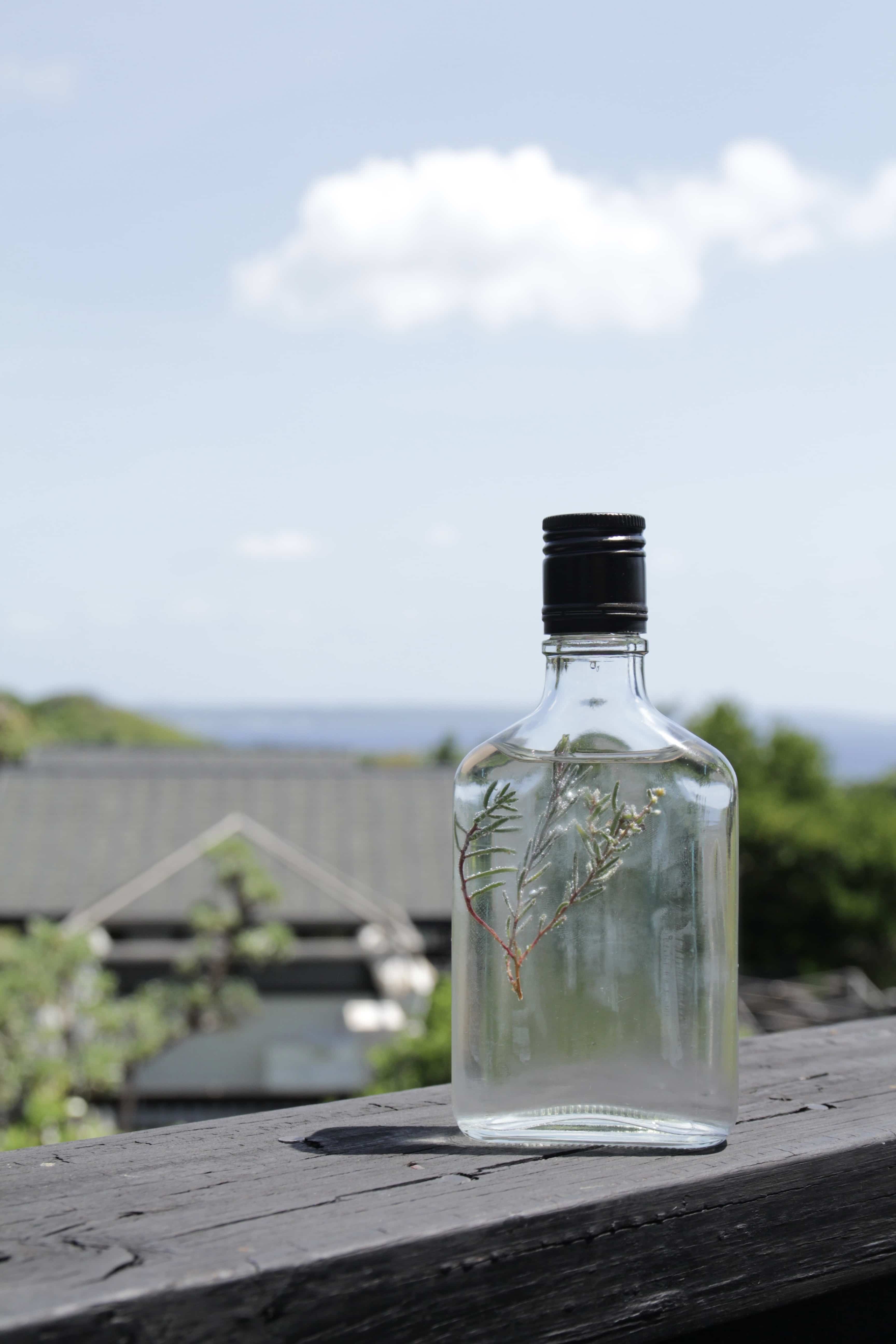 「海底40ｍｍ氣泡水」以鹹感刺激味覺作為開場。