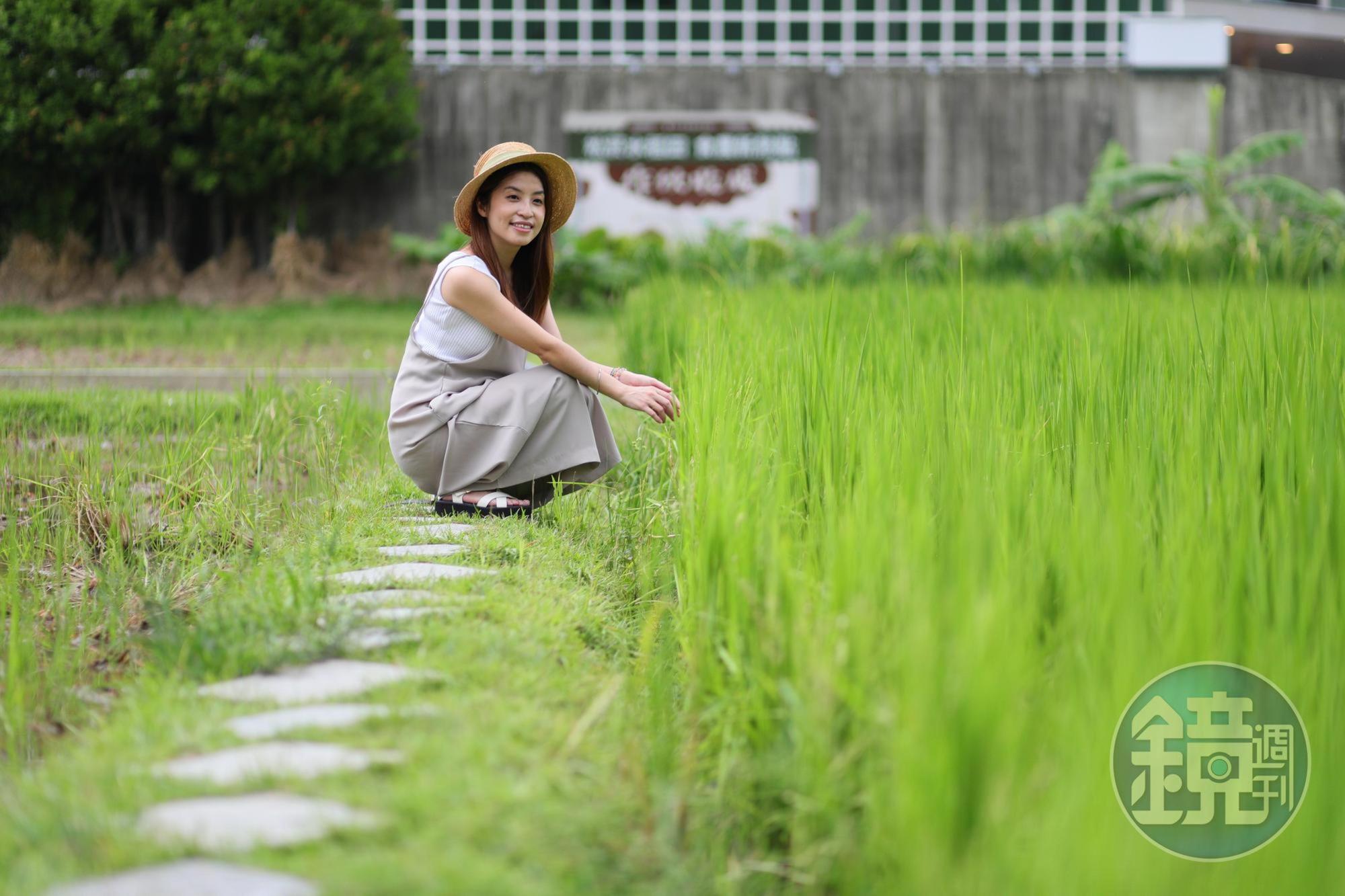 一群居民在園區旁創立「菸食農教育園區」種植水稻、花生、番薯等,文創園區竟有了農村景致。