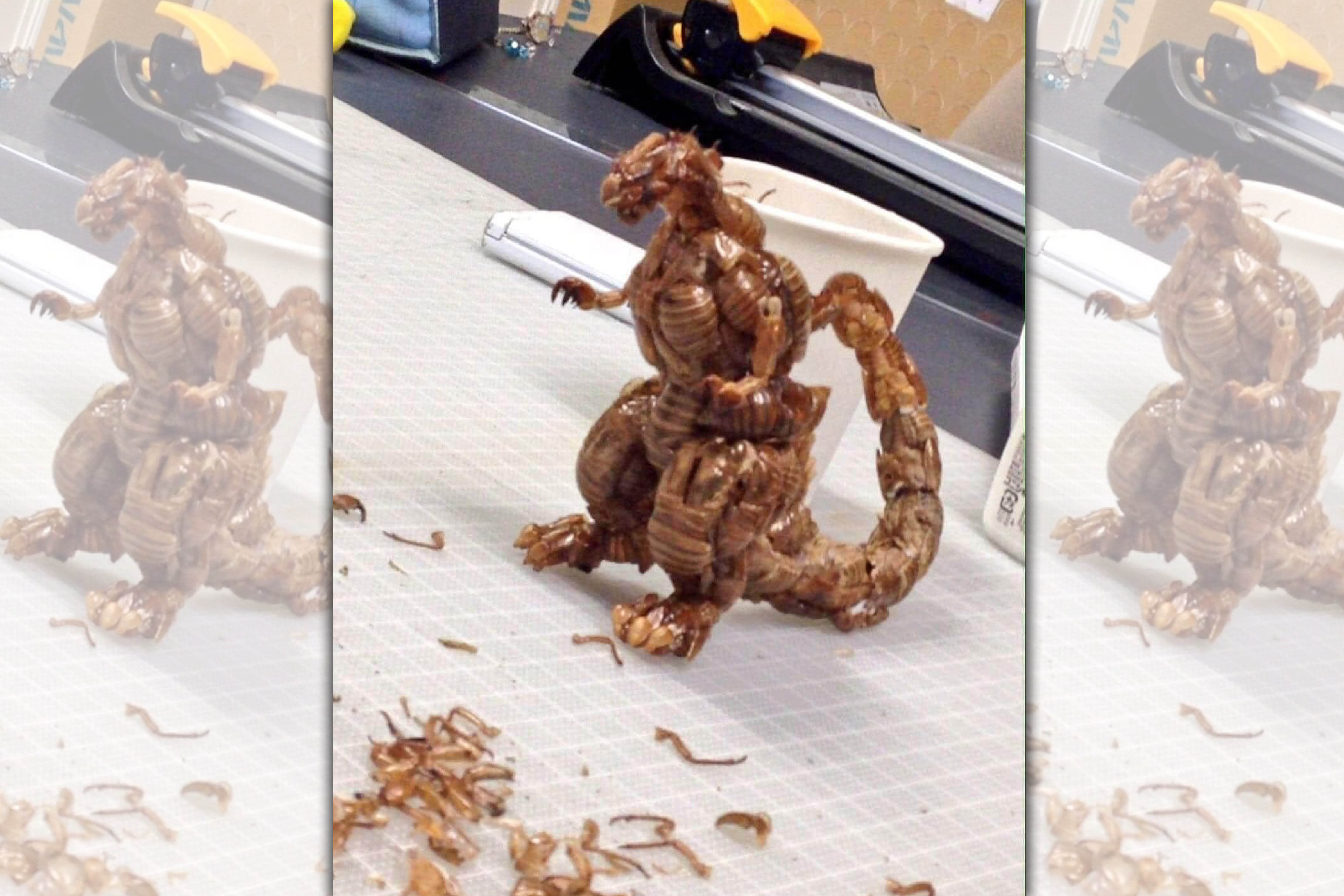 網友用蟬殼製作的「蟲蟲哥吉拉」號稱能讓女朋友、老婆都不敢碰。（翻攝自「爆廢公社公開版」）