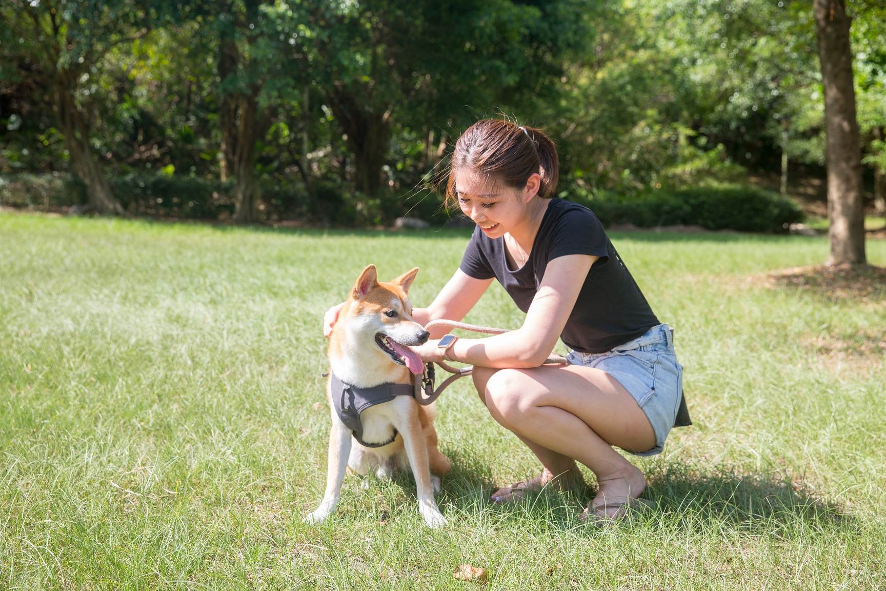 狗狗森友會邀請飼主帶毛孩到公園打疫苗、參加闖關遊戲，留下美好回憶。