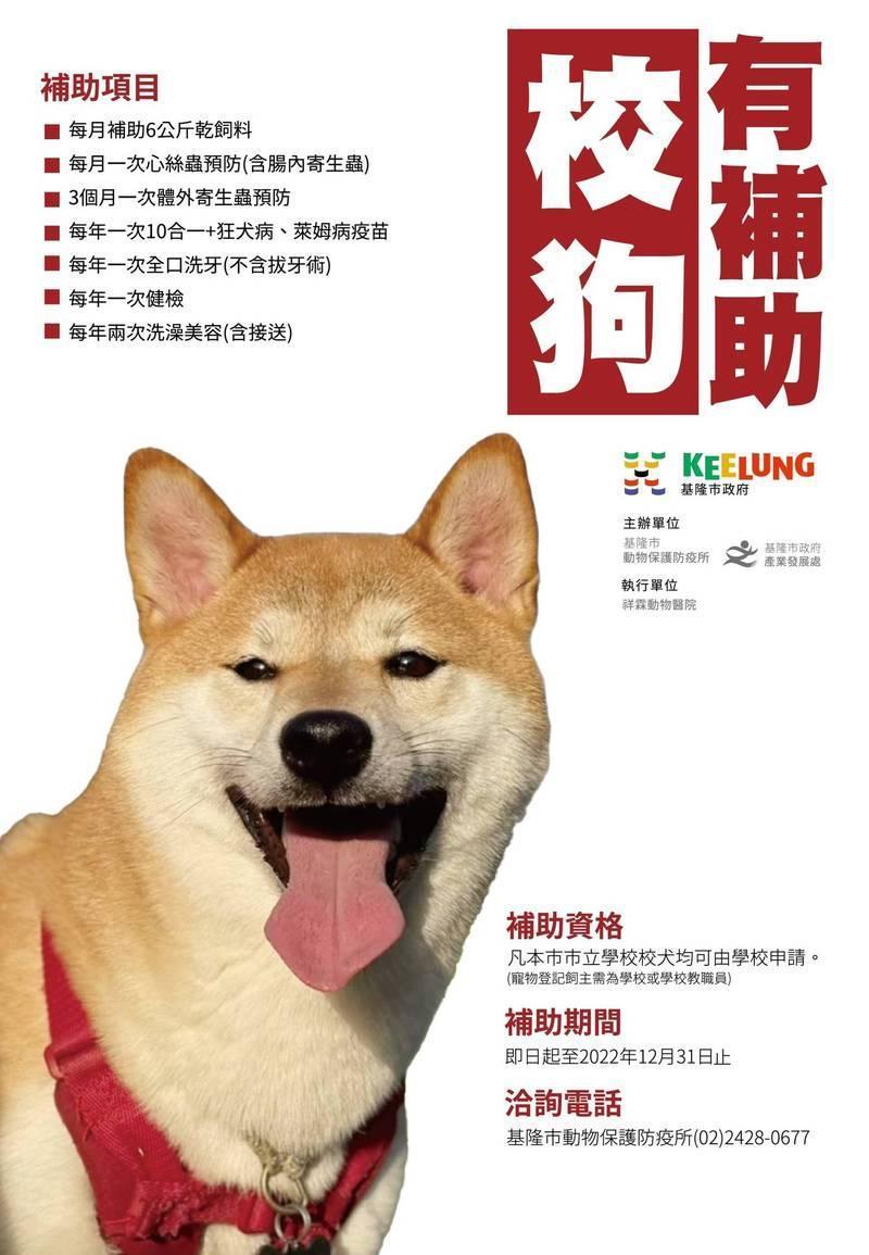 基隆市府校狗補助海報。(基隆市政府提供)