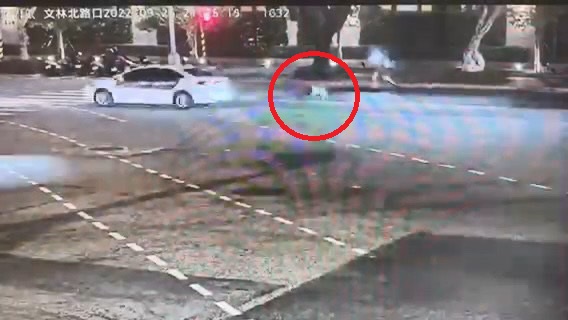 虎斑犬（紅圈）掙脫繫繩朝大馬路狂奔。（翻攝畫面）