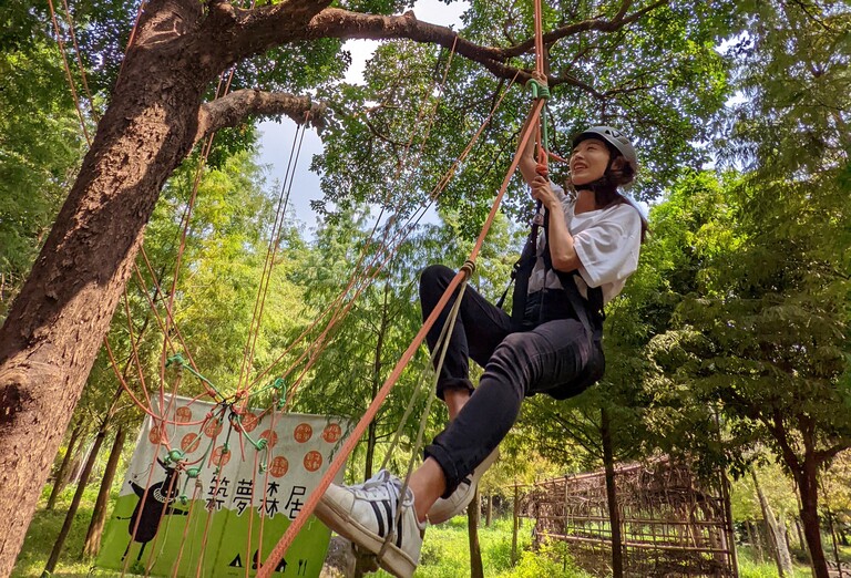 來嘉義中埔的山裡攀樹當泰山。