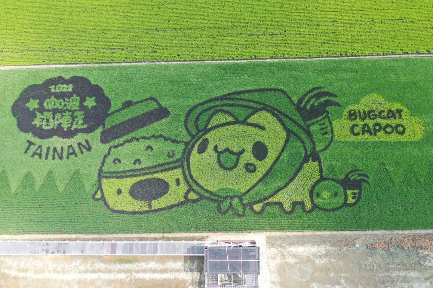 「貓貓蟲咖波」現身台南後壁彩繪稻田。(後壁區農會提供)