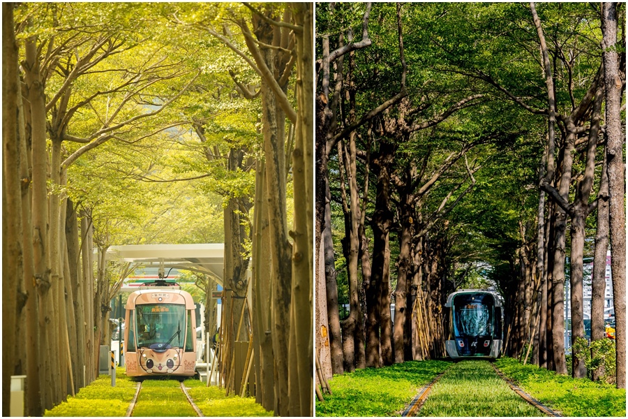 高雄輕軌最美路段「龍貓隧道」今（11）日下午出現設備異常，美術館站至愛河之心站停駛，改由公車接駁。（翻攝自陳其邁臉書）