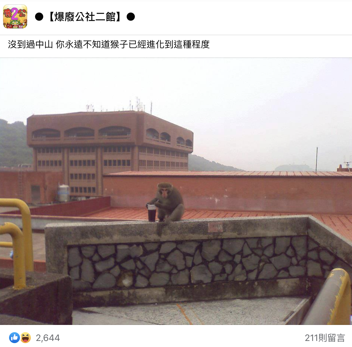 中山大學的猴子會自己插吸管喝飲料。（翻攝自爆廢公社二館）