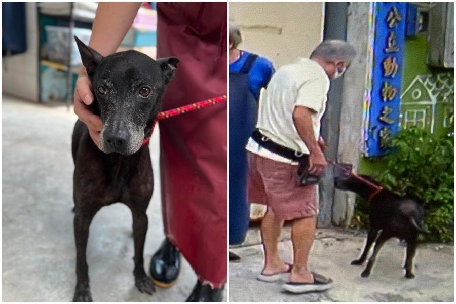 新店動物之家通知領回小八，飼主十分感謝。（新北動保處提供）