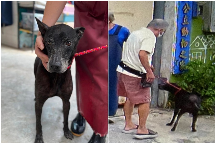 新店動物之家通知領回小八，飼主十分感謝。（新北動保處提供）