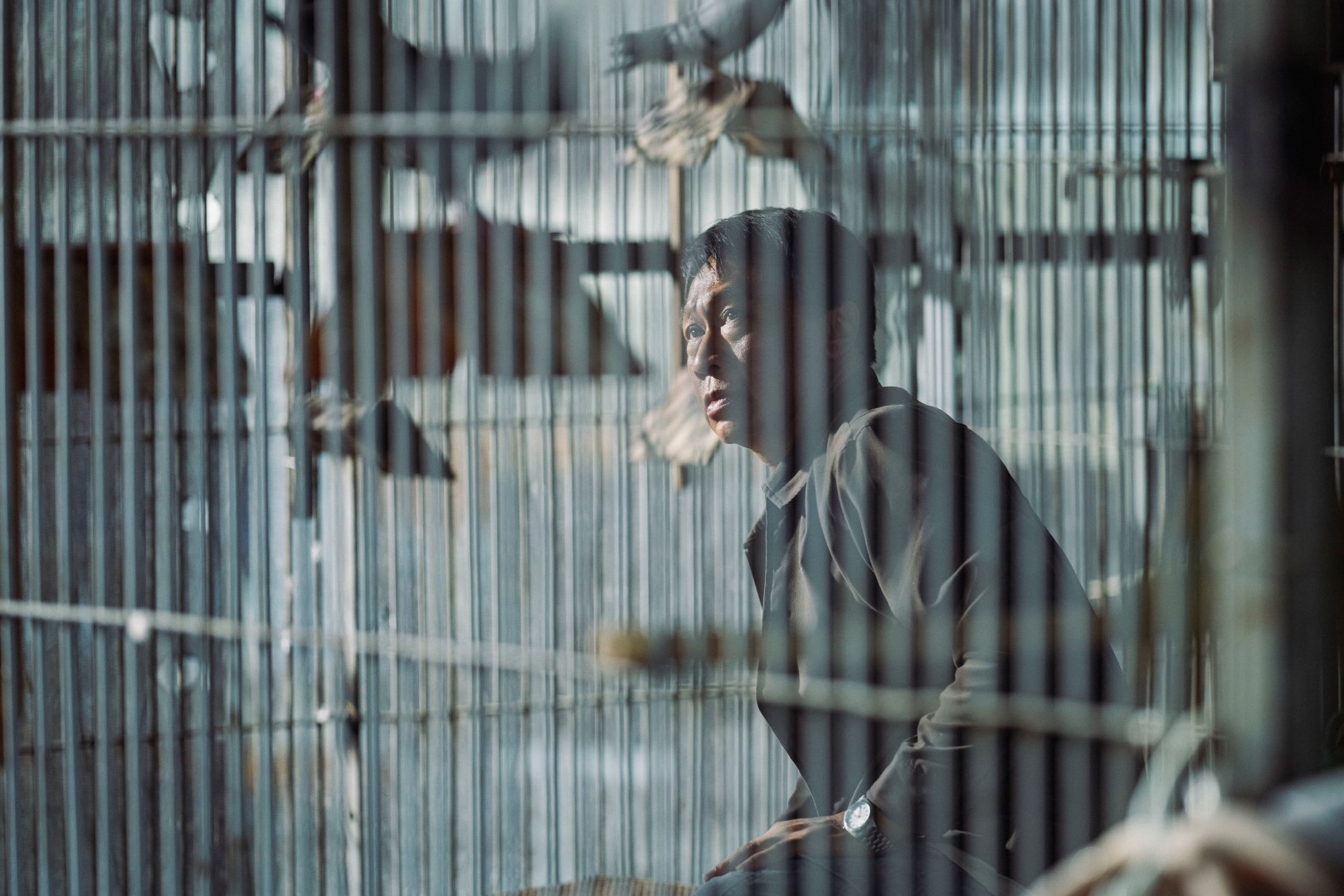 金馬影展開幕片《一家子兒咕咕叫》推出口述影像版。（金馬獎執委會提供）