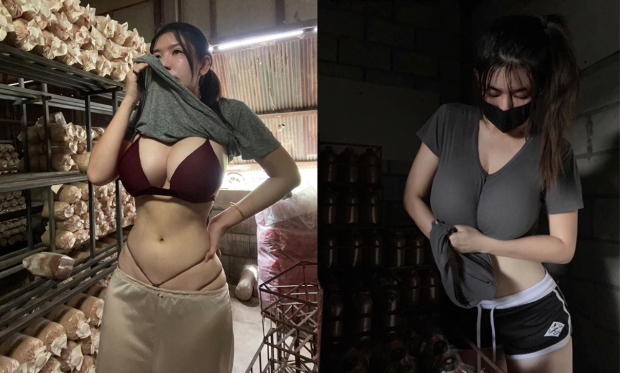泰國人氣網美Niparat konyai近日戴口罩在菇園工作，天氣熱到她直接掀衣擦汗。（翻攝IG @mikanaka9999）
