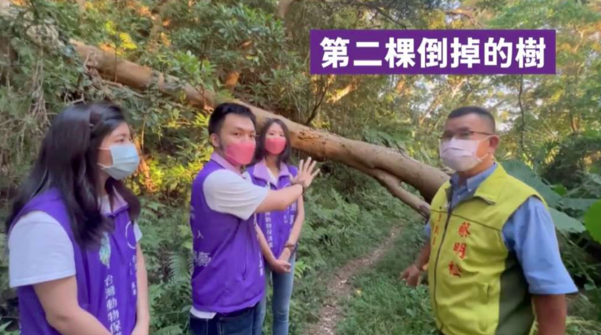 動保黨直擊，天和公園周邊步道不僅垃圾久未清理，其中一顆路樹已倒下2年無人處理。（動保黨提供）