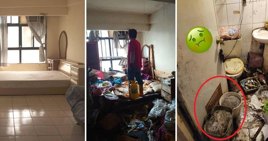 原本的精緻小屋被女房客弄成垃圾屋,讓房東超崩潰。(翻攝爆廢公社)