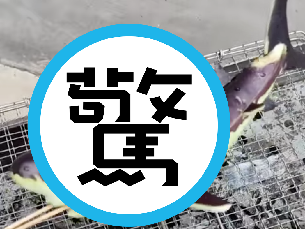烤肉是許多台灣人熱愛的休閒活動，不過，你有看過烤鯊魚嗎？（翻攝自●【爆廢公社公開版】●）