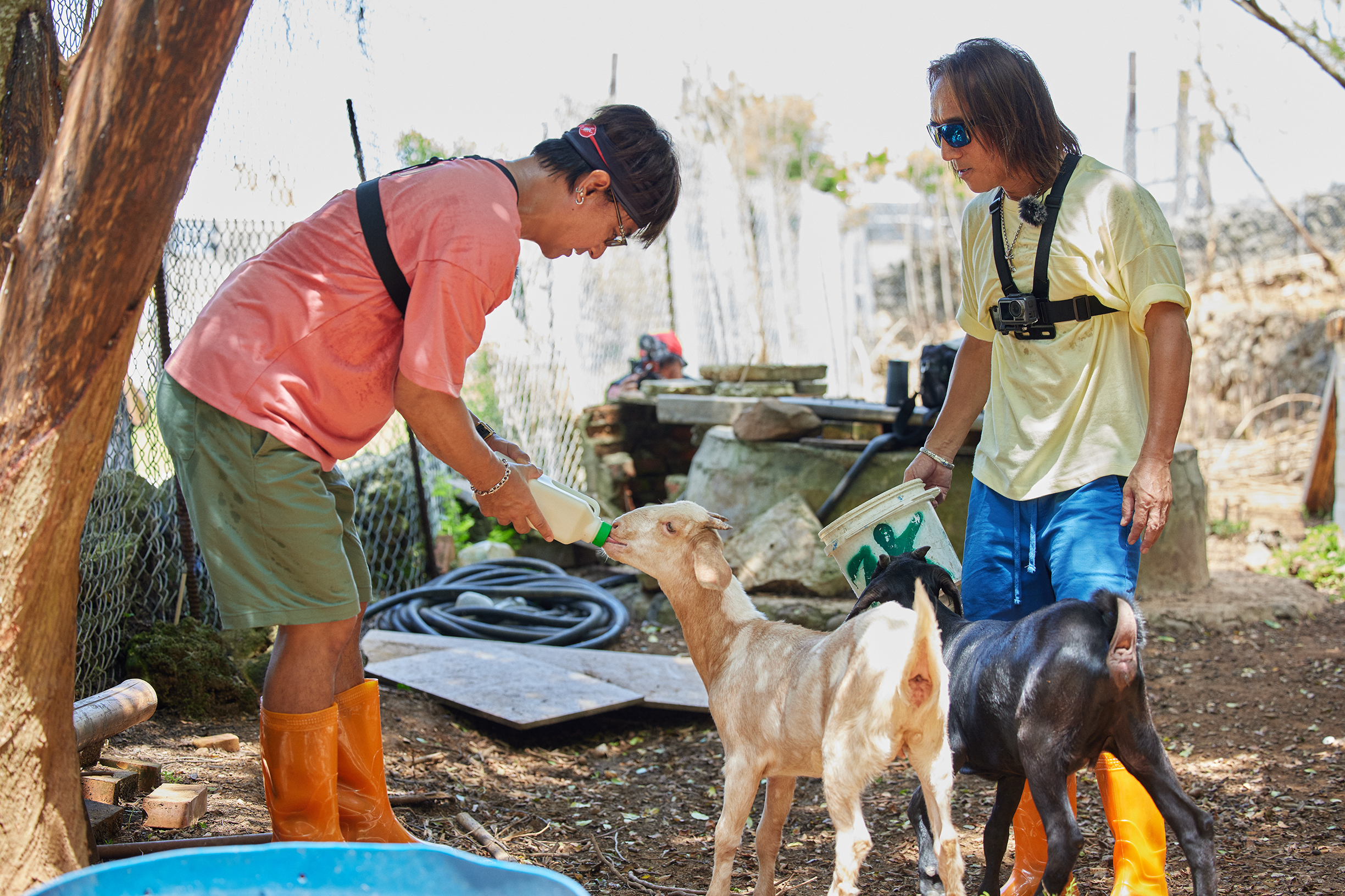 尤秋興起床後以園長職責前往動物園餵羊，他童趣地與羊兒們對話。（灰人文化提供）