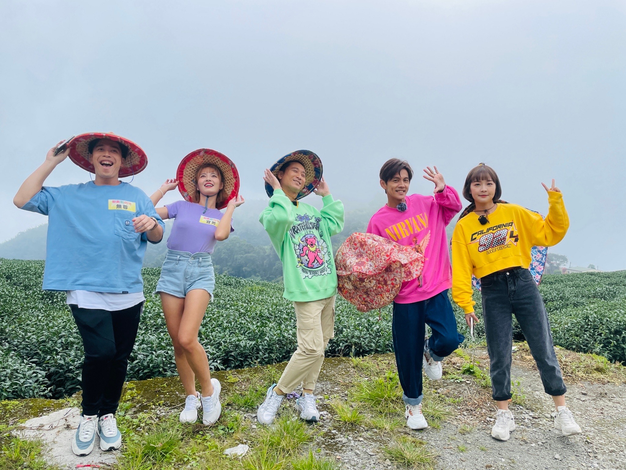 浩子、阿翔、籃籃、無尊、宜芳，來到阿里山體驗茶農的工作！（民視提供）