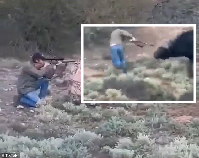 現世報！狩獵聯盟主席開槍獵殺，反遭水牛復仇虐殺雙雙慘死。（翻自《每日郵報》）