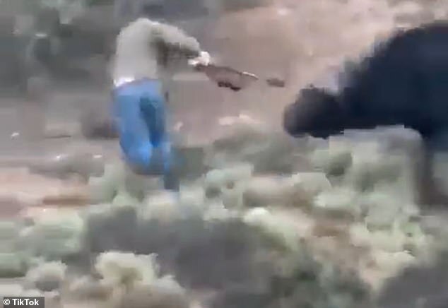水牛不爽被射，反對卡納雷斯攻擊。（翻自《每日郵報》）