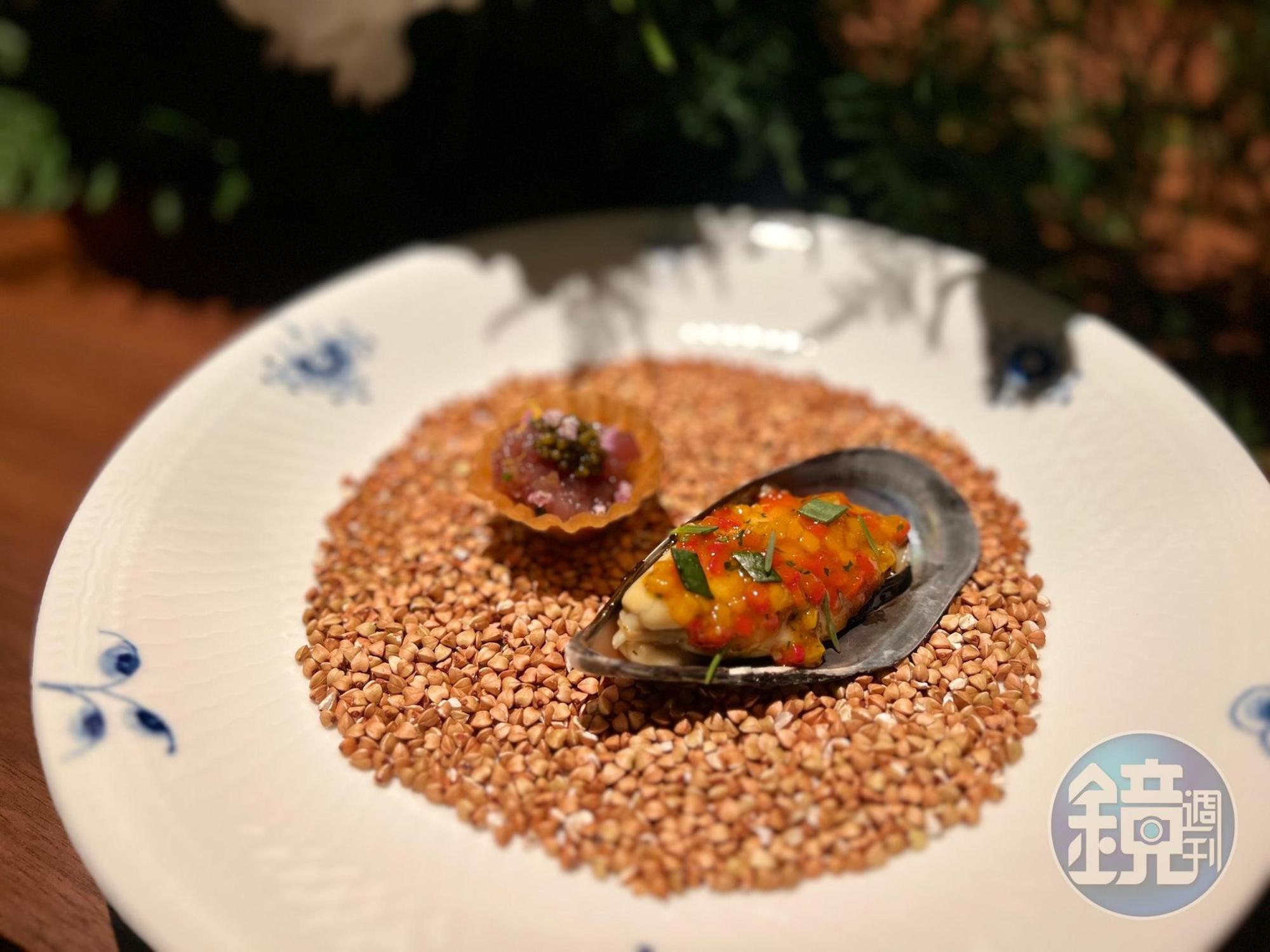 「棕櫚花園系列」專為瓷器入門者而設計,由美麗的棕櫚葉與經典唐草交織而成,是貼近東方飲食習慣的實用器皿。