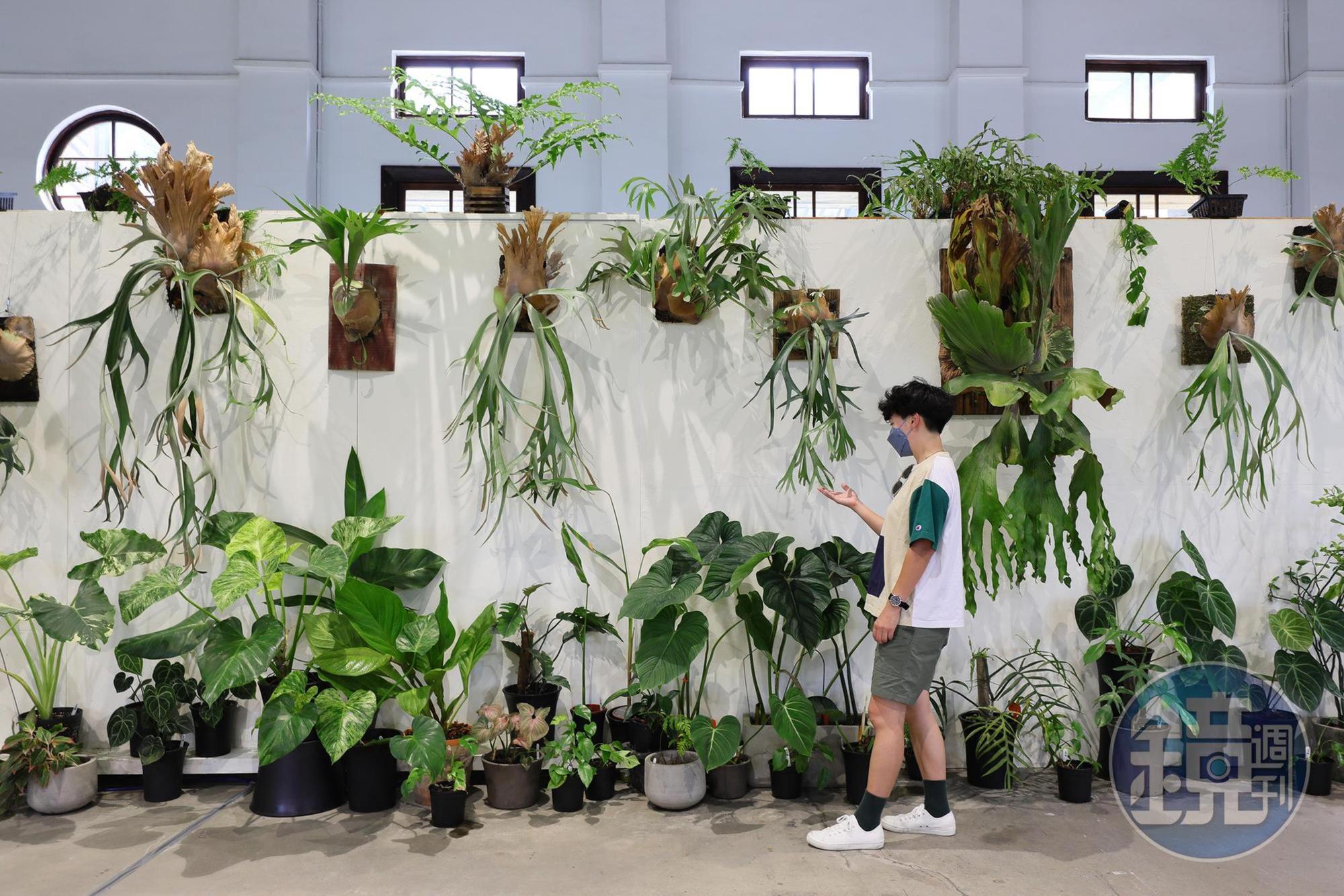 帝國製糖廠每年都會順應當代潮流話題,推出主題多元的展覽內容。