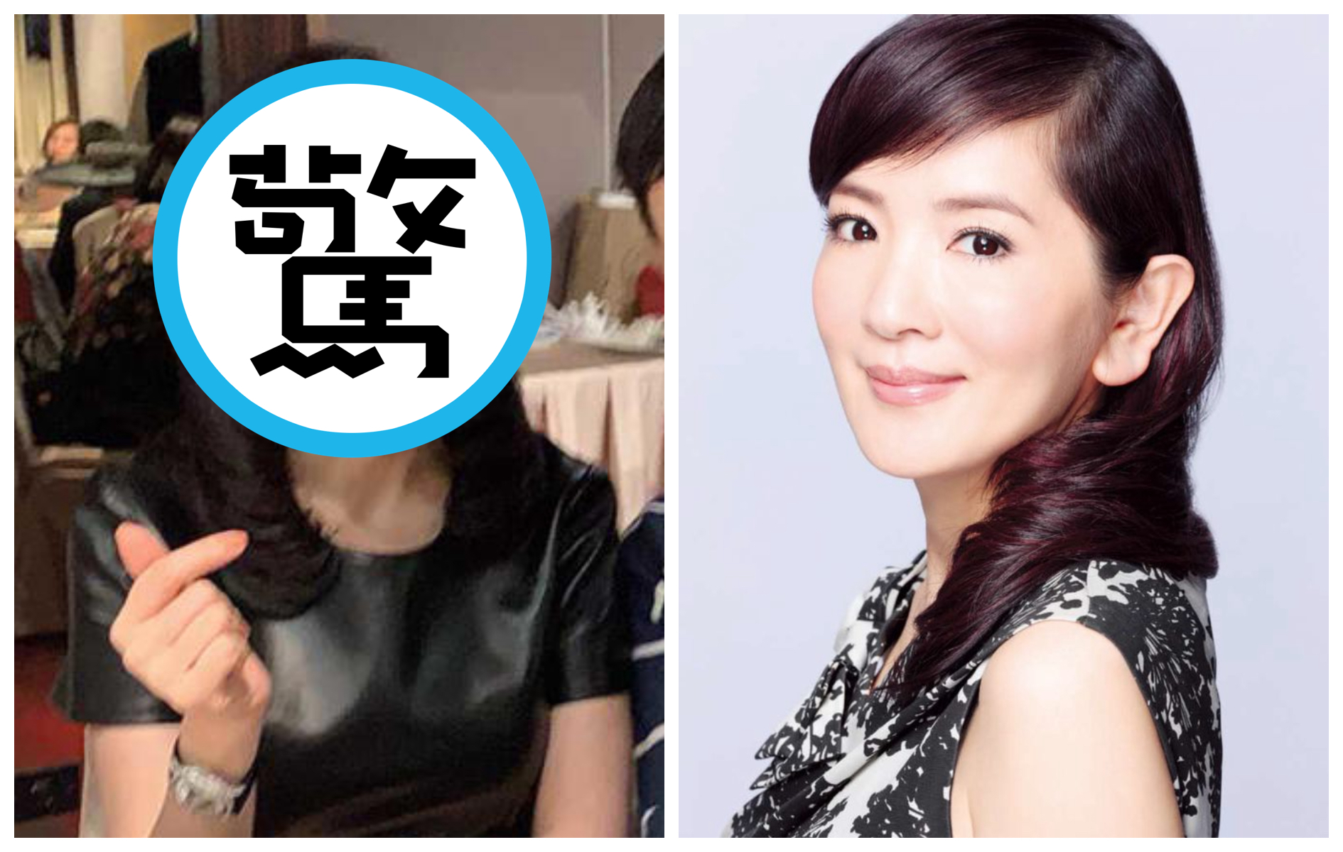 名媛何麗玲近照曝光（左圖）。（翻攝陳孝志臉書／何麗玲臉書）