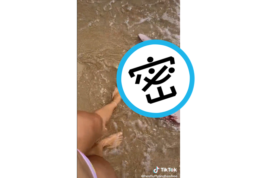 澳洲網友在海灘發現一個「巨型肉棒」,尺寸巨大無比,甚至比她的腿還要粗(取自TikTok)
