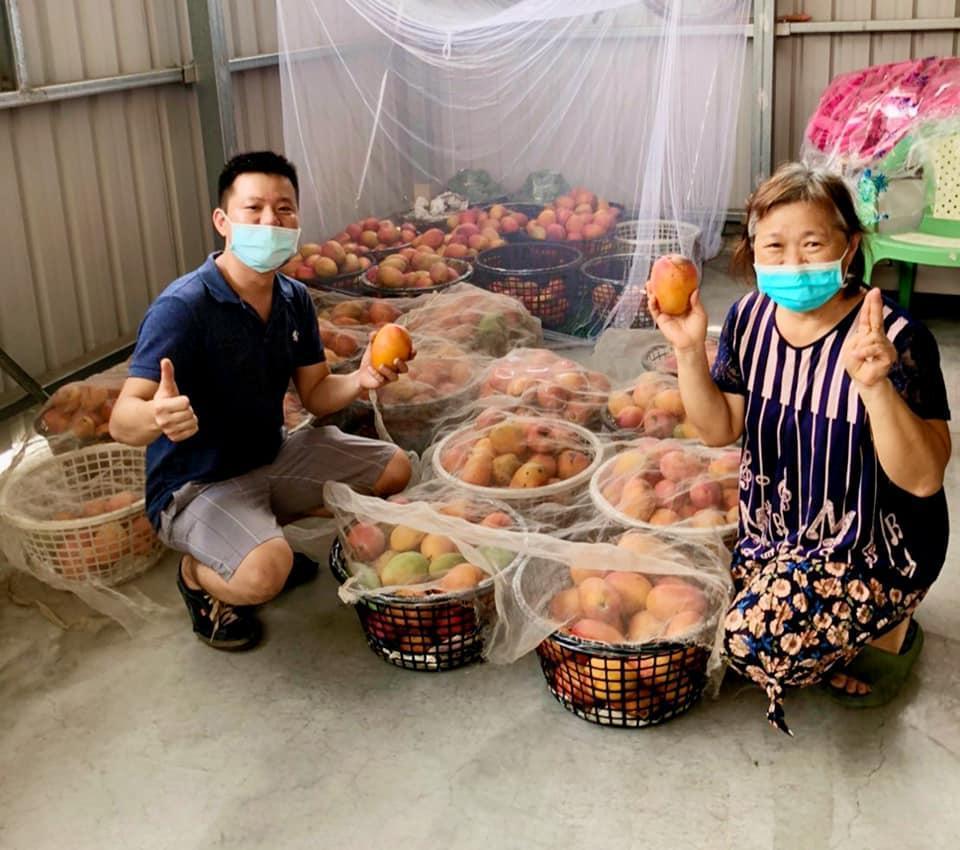 因台風在台南設廠，負責釀造啤酒的許京穎也常以台南的水果、特產入酒。（台風造酒提供）