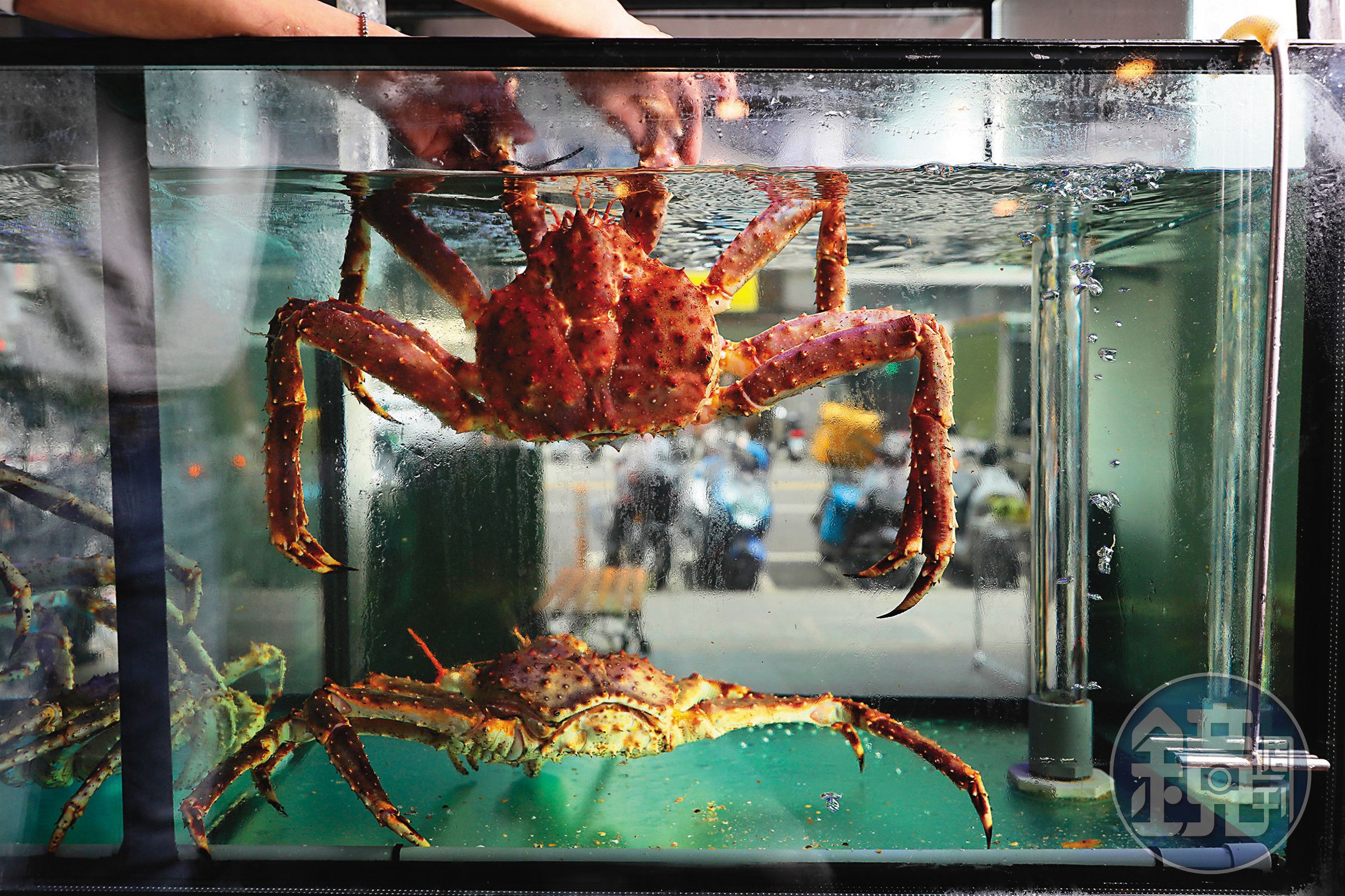 水族箱中的蟹種會因季節而異，鎮店之寶是來自北海道的活體帝王蟹。