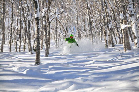度假村內設有23條滑雪道，9條黑色滑雪道、6條紅色滑雪道、8條綠色滑雪道。