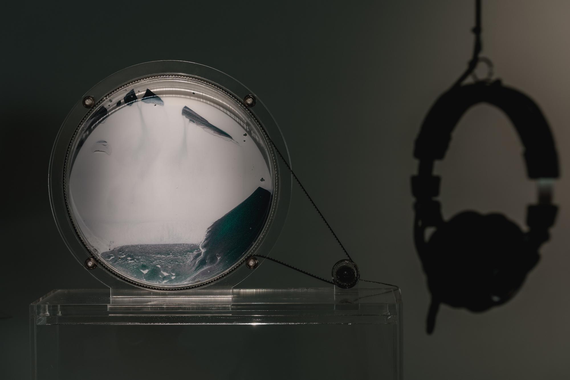 告五人與吳仲倫合作的展品《鹿》展於小花計畫2022。(ALIEN Art 永添藝術提供)