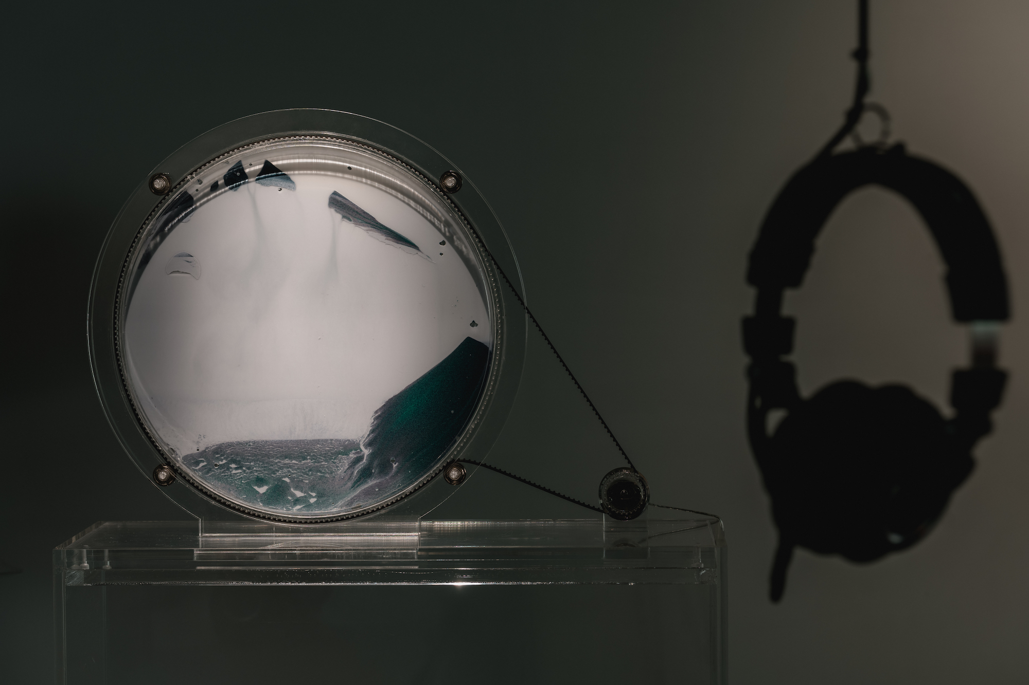 告五人與吳仲倫合作的展品《鹿》展於小花計畫2022。（ALIEN Art 永添藝術提供）