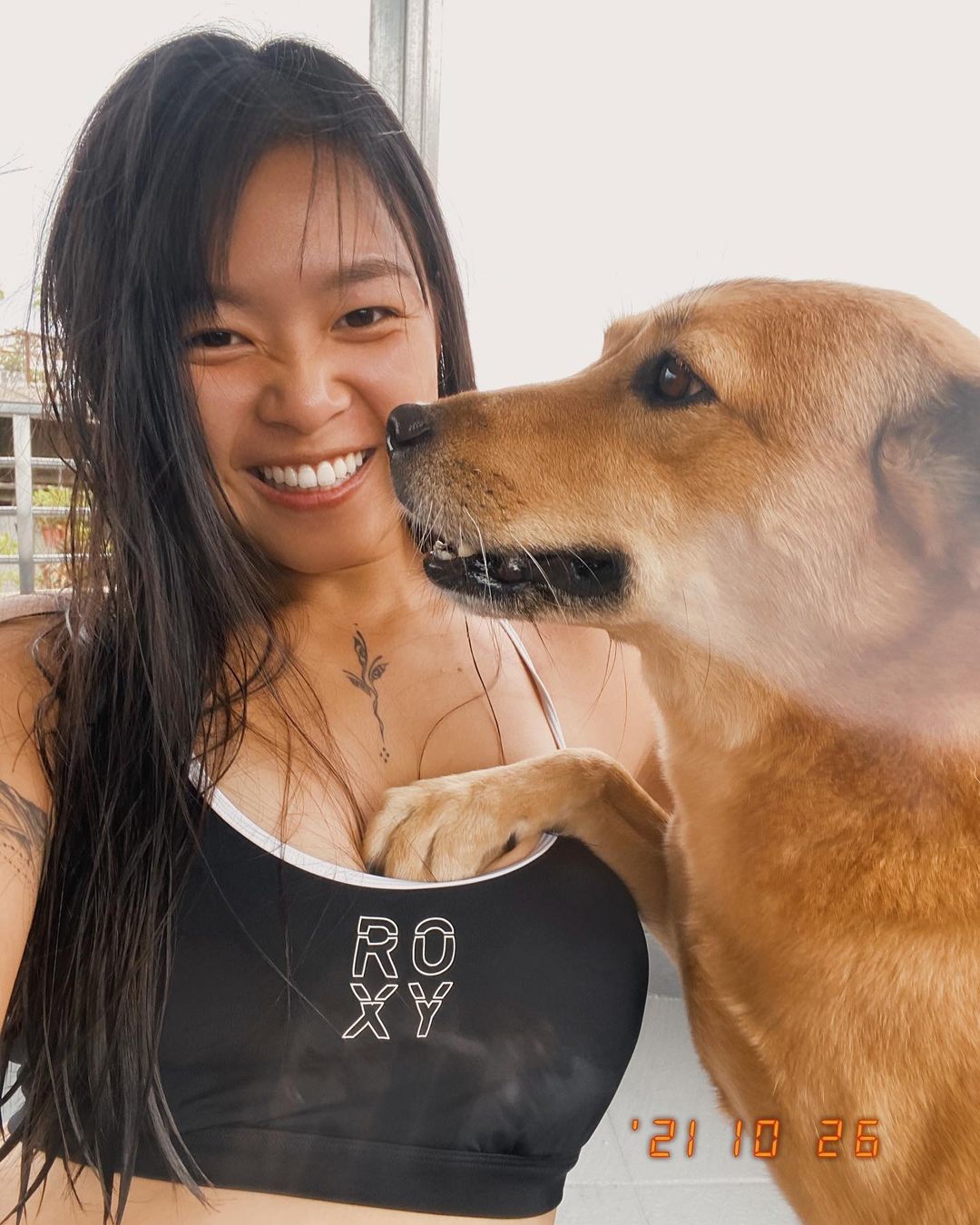 正妹獸醫曾因狗狗襲胸罩而登上表特版引起鄉民熱議。（翻攝IG @ffffeifffei）