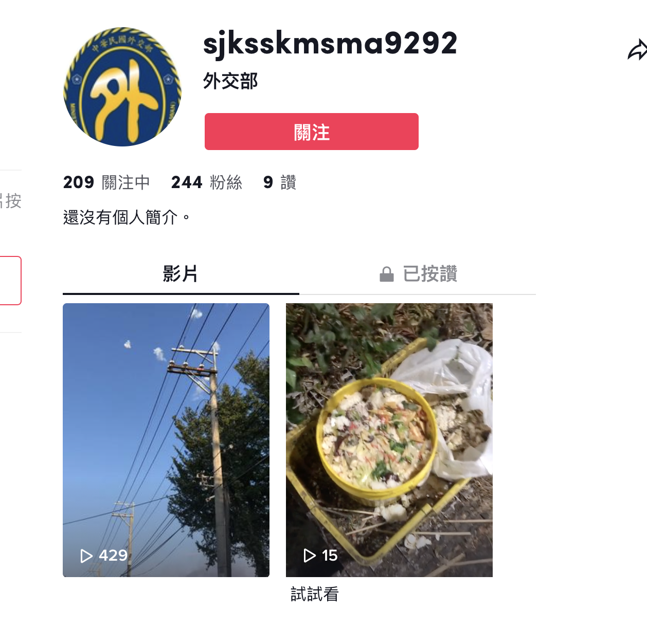 立委何志偉質詢時透露，抖音上出現外交部假帳號。（翻攝抖音）