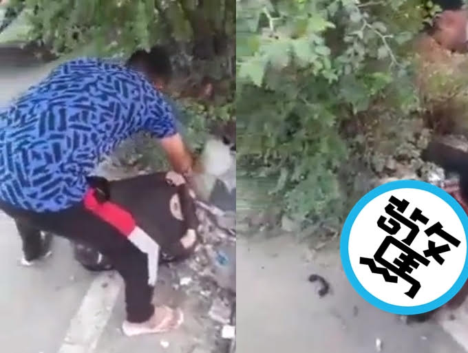 印度德里地鐵「IFFCO Chowk」站旁的路邊草叢，驚爆裸女箱屍案。（翻攝推特@Bhanu30952745）