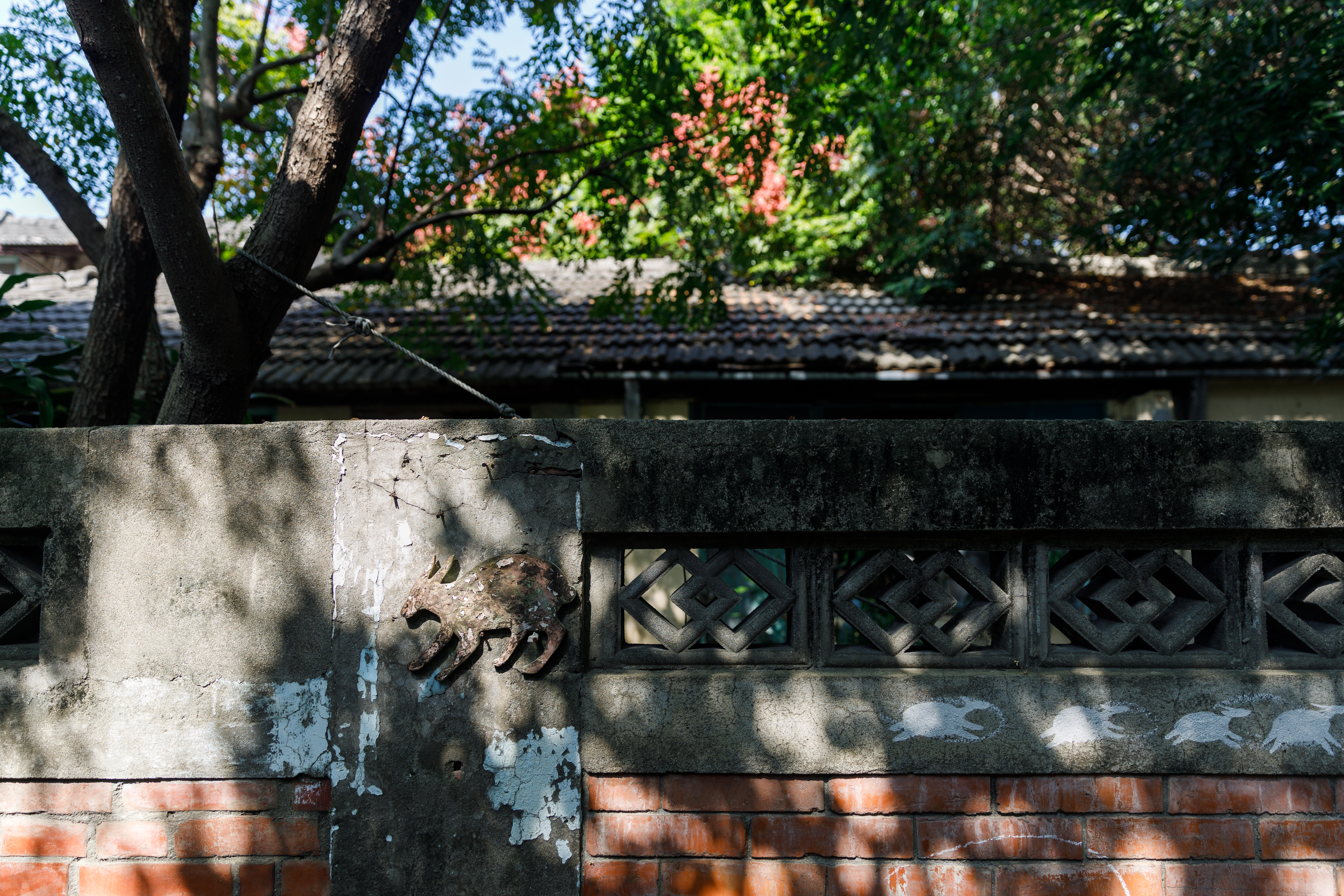 「女子當自強」特展，在新媒材裝置之下，重新詮釋與轉化台灣50、60年代眷村女子的日常。