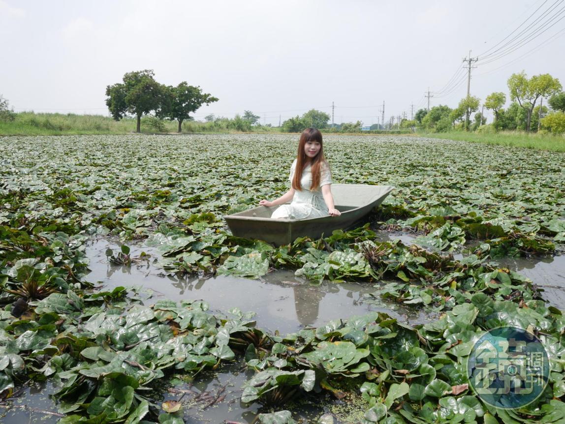 穿上洋裝、坐上採菱角的小船,仙氣逼人。