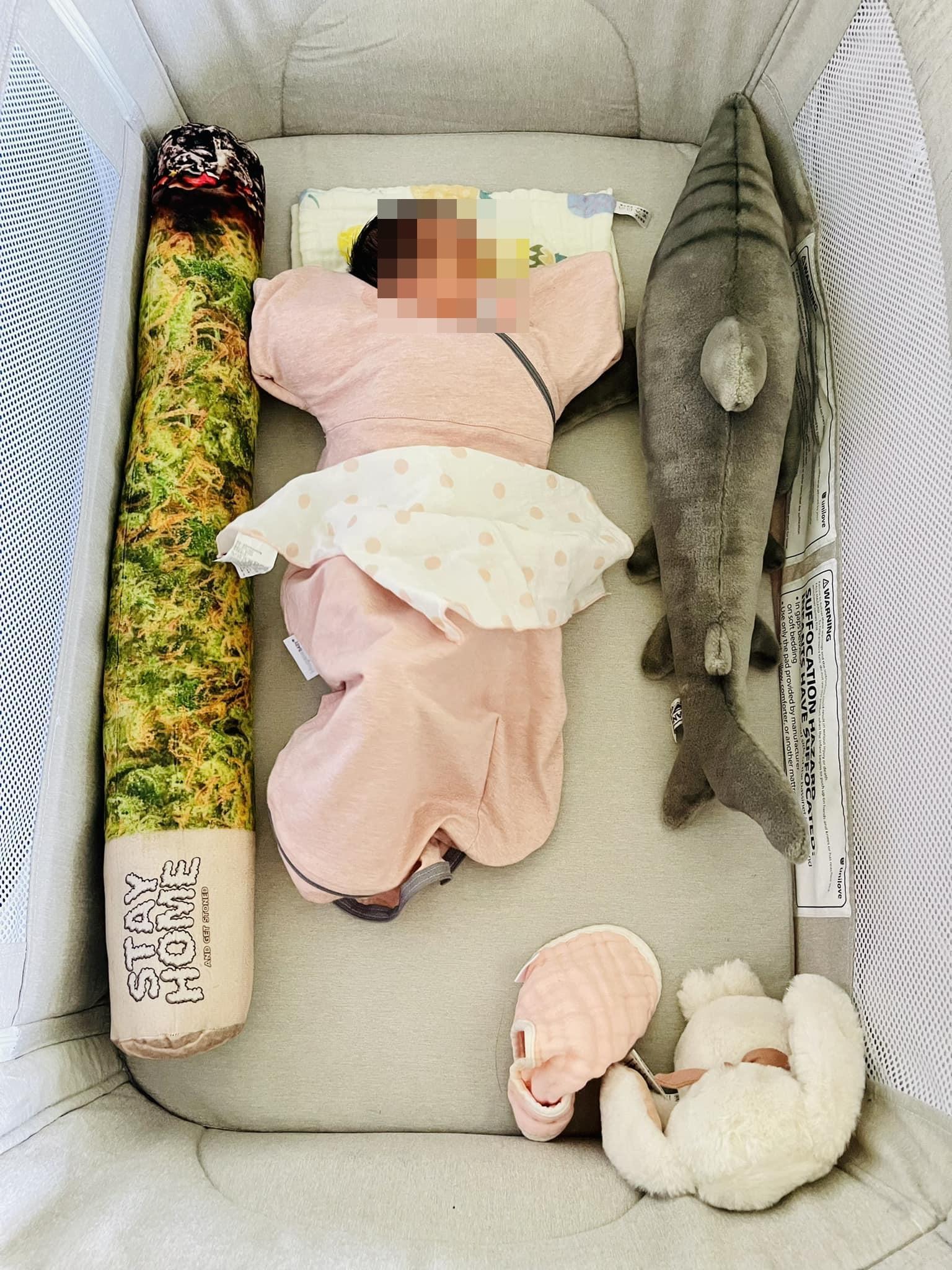 謝和弦在女兒嬰兒床內除了擺進一隻鯊魚玩偶，還有一個大麻菸造型的抱枕。（翻攝自謝和弦臉書）