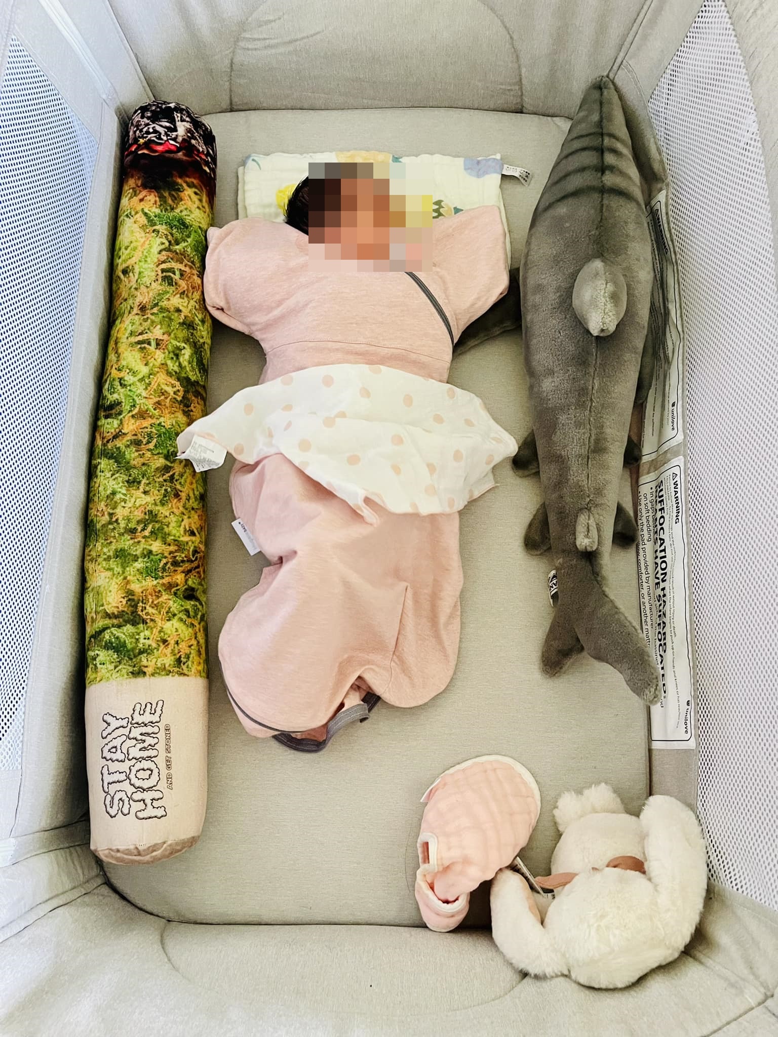 謝和弦在女兒嬰兒床內除了擺進一隻鯊魚玩偶，還有一個大麻菸造型的抱枕。（翻攝自謝和弦臉書）