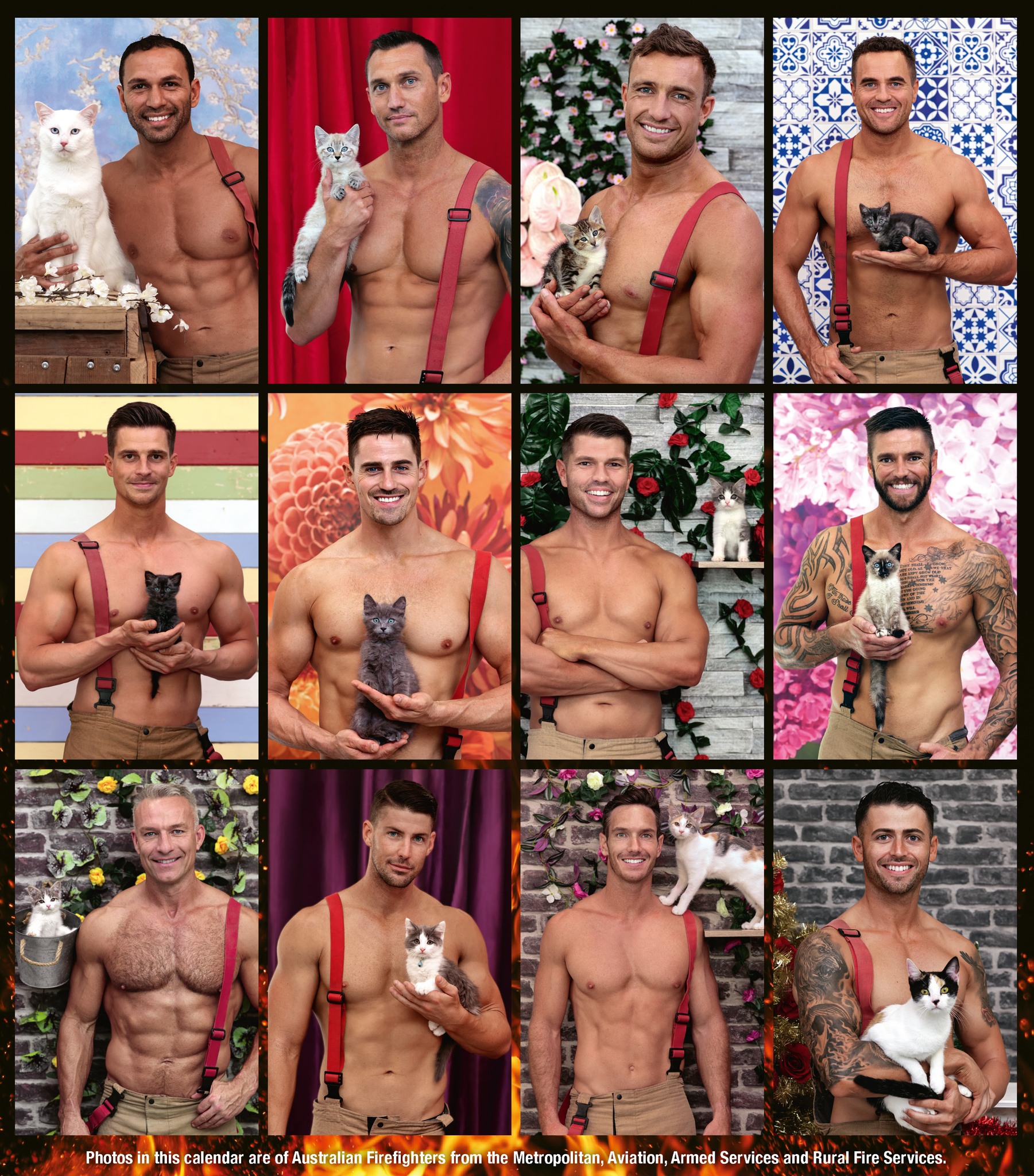 猛男消防員手捧貓咪融化網友。（翻攝自Australian Firefighters Calendar）