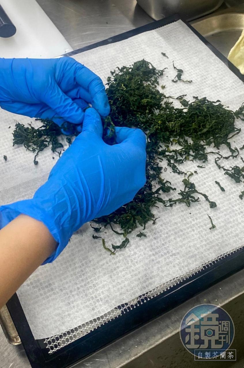 自製芥蘭茶非常費工。