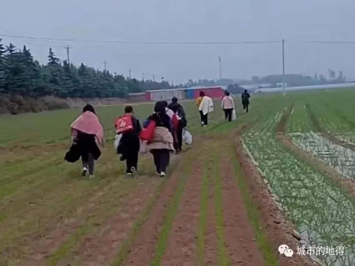 富士康鄭州廠爆群聚，多名員工為避免染疫徒步逃回家。（翻攝自微信）